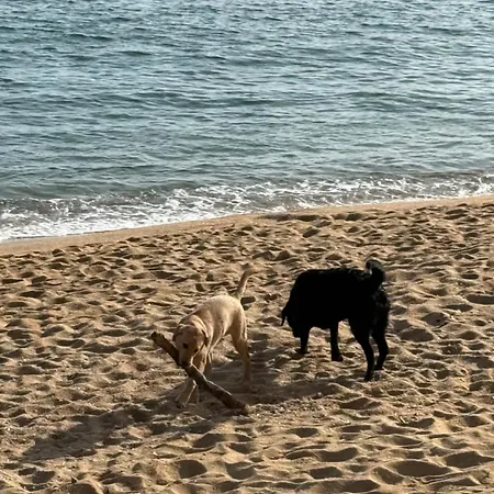 Apartament Pinzon, Gezellige Familievilla Met Groot Zwembad.