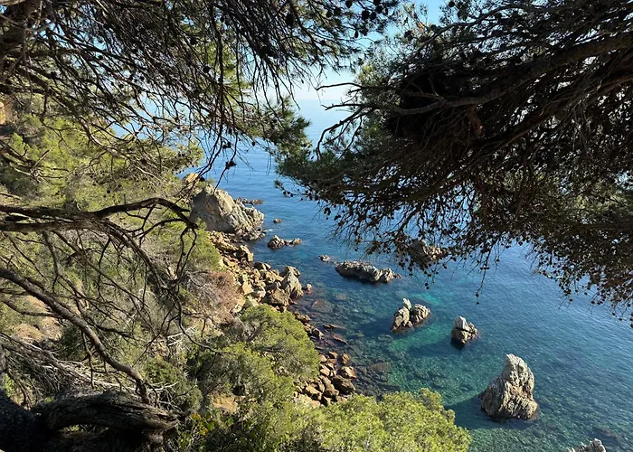 Pinzon, Gezellige Familievilla Met Groot Zwembad. Apartamento