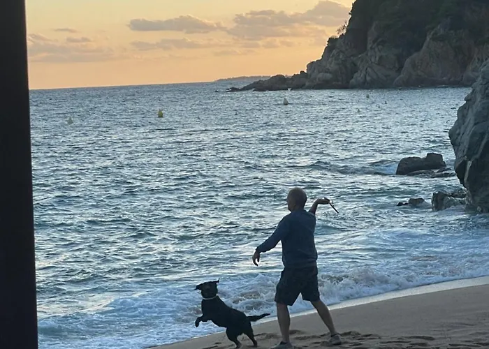 Apartamento Pinzon, Gezellige Familievilla Met Groot Zwembad. *