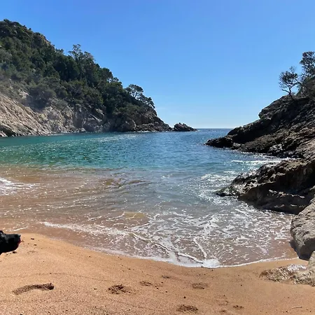 Pinzon, Gezellige Familievilla Met Groot Zwembad. Апартаменти