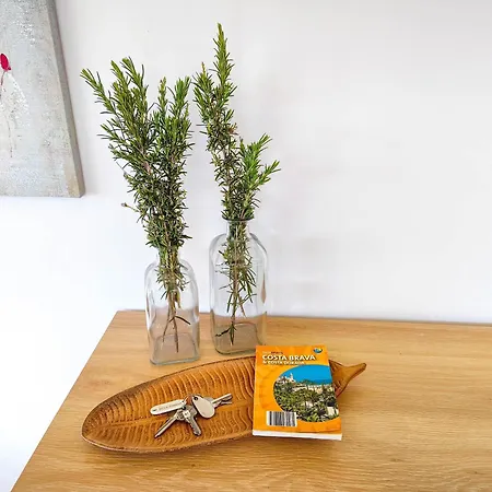 Pinzon, Gezellige Familievilla Met Groot Zwembad. Apartment
