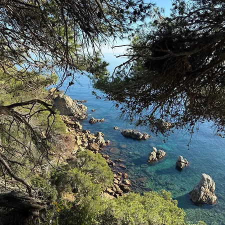 Pinzon, Gezellige Familievilla Met Groot Zwembad. Lägenhet