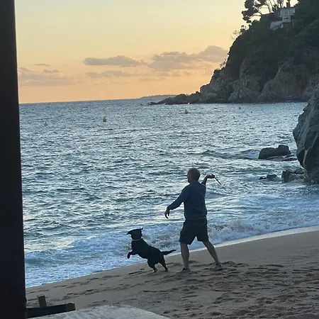 Apartamento Pinzon, Gezellige Familievilla Met Groot Zwembad. *