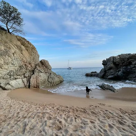 Lägenhet Pinzon, Gezellige Familievilla Met Groot Zwembad. Lloret de Mar