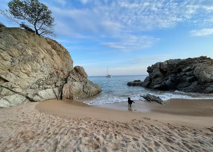 Apartment Pinzon, Gezellige Familievilla Met Groot Zwembad. Lloret de Mar