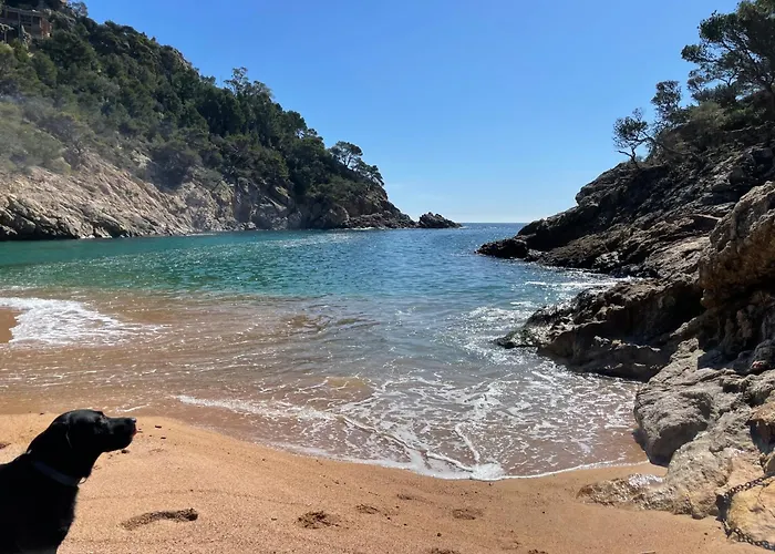 Pinzon, Gezellige Familievilla Met Groot Zwembad. Appartamento